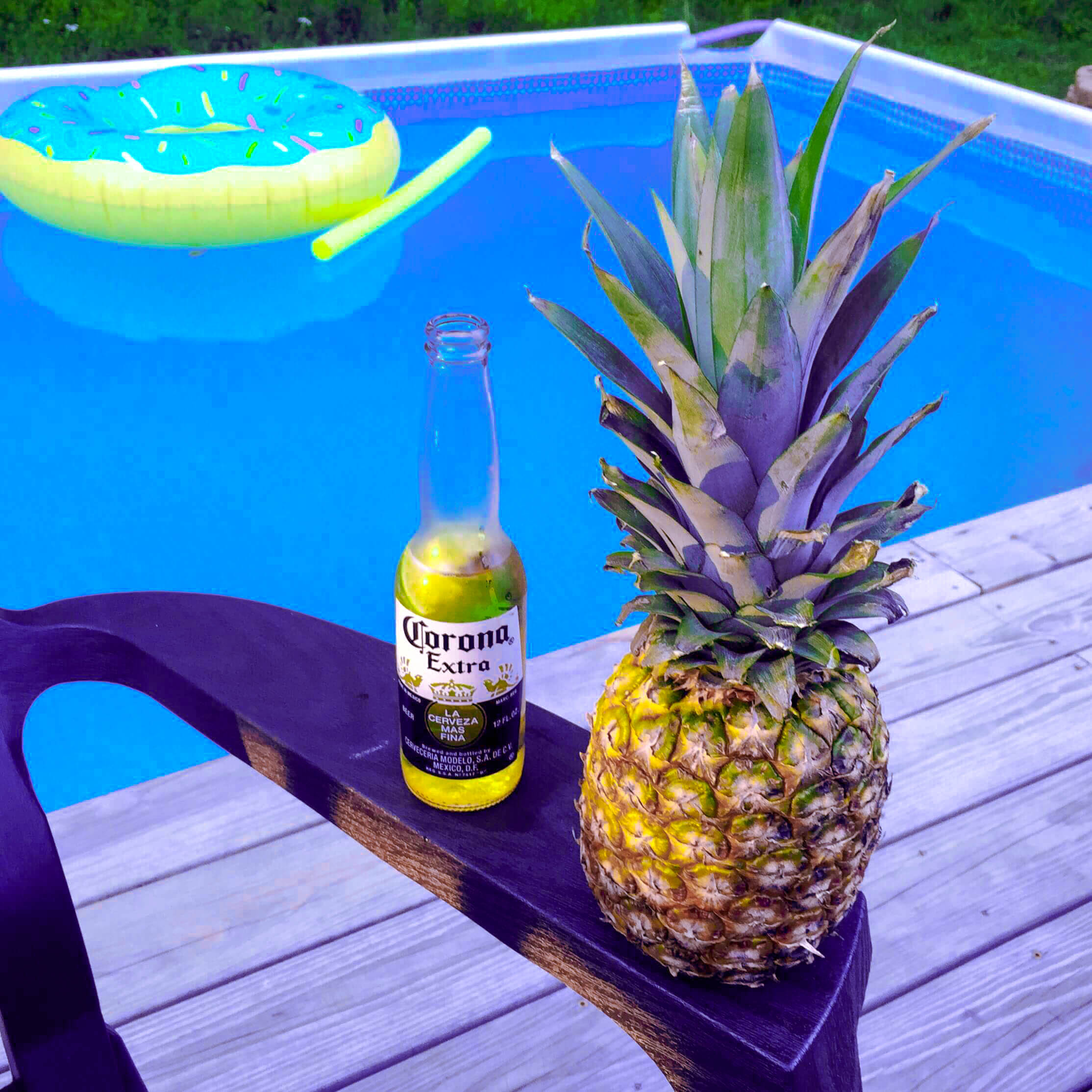 abacaxi, cerveja, boia e piscina